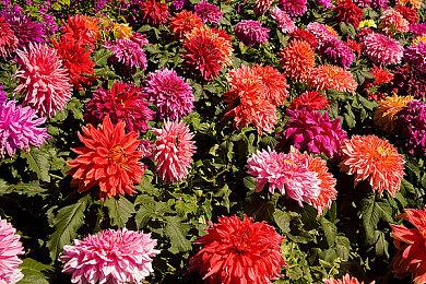 《前线任务2：重制版》发新预告 缩短读取时间