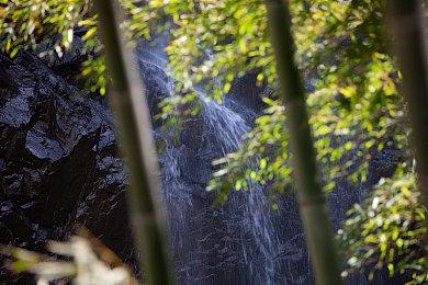 传闻：《1-2 Switch》拥有续集 但测试不理想恐难面市